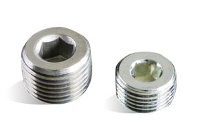 Stainless Steel 304 Hex Socket Pipe Plug DIN906
